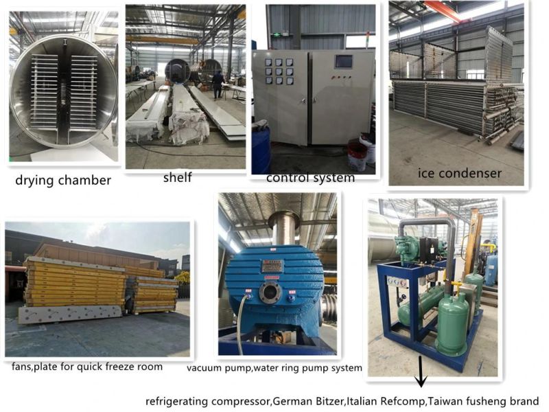 Jdg-200 Vacuum Freeze Dryer Factory