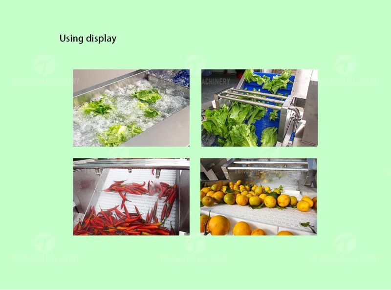 Industrial Automatic Food Processor Fruit Vegetable Ozone Bubble Washer Ultrasonic Ginger Cassava Washing Machine Ts-X300