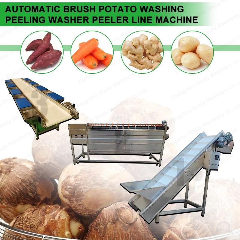 Automatic Brush Potato Washing Peeling Washer Peeler Line Machine