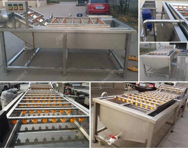 High Efficient Mushroom Washer Tomato Washing Machine