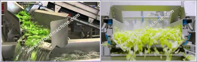 Industrial Automatic Fruit &Vegetable Cleaning Machine Vegetable Processing Line