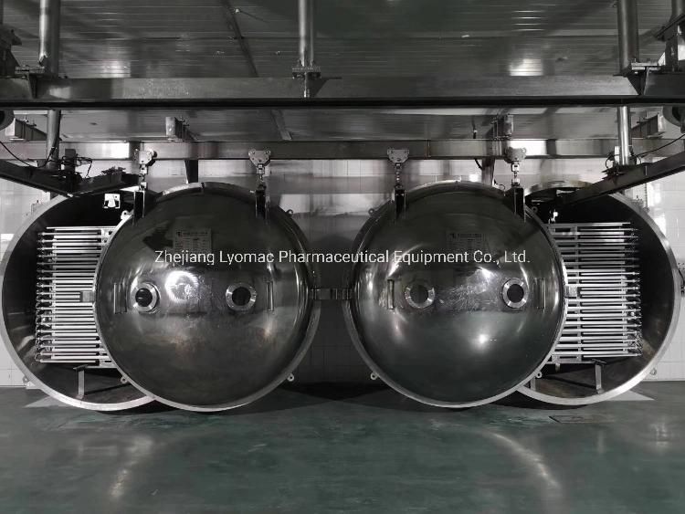Automatic Food Freeze Drying Machine Apples Vacuum Dryer