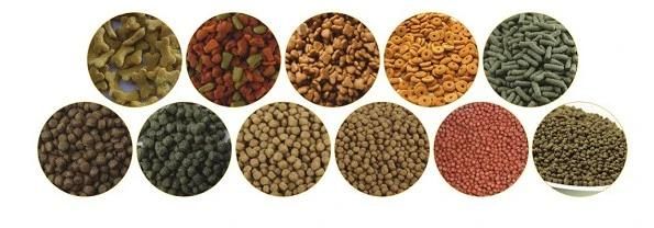 Dog Food and Cat Food Feed Processing Equipment