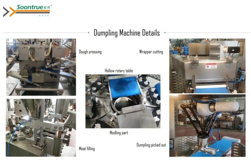 Chinese Soontrue Brand Food Machine Popular Shape Dumpling Making Machine