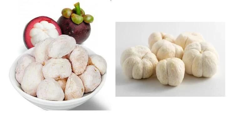 Mangosteen Vacuum Freeze Dryer Fruit Lyophilizer