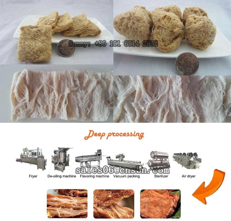 500kg/H 1ton/H 2ton/H Tvp Tsp Vegetable Meat Soya Bean Protein Nuggets Soya Meat Soya Chunks Making Machine Production Line