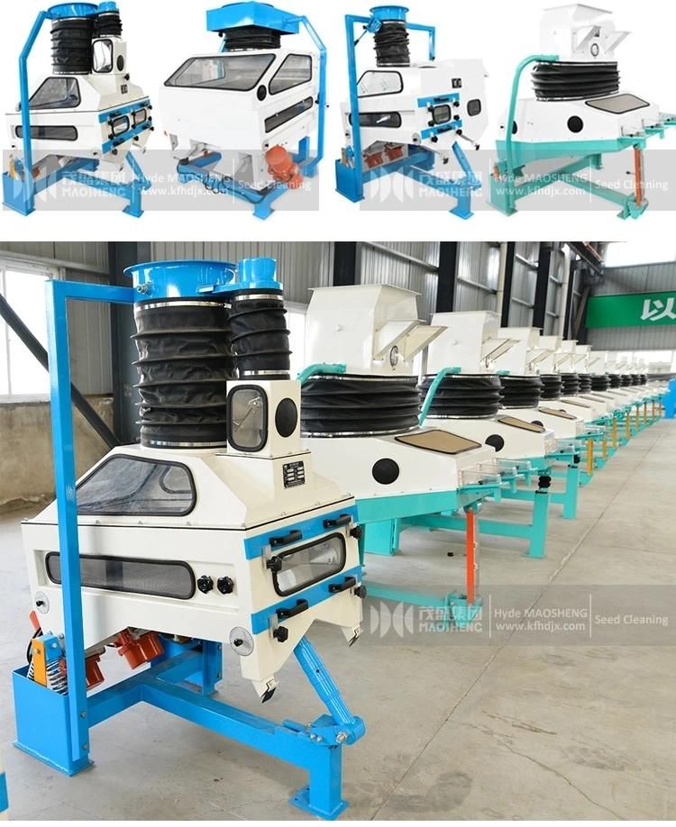 Grain Destoner for Sale Paddy Seed Cleaning Plant Destoner