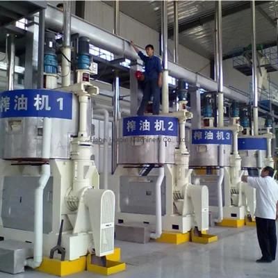 Oil Press Sesame Sunflower Oil Extractor