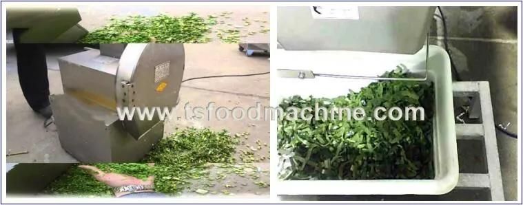 Restaurant Machine Leaf Vegetable Cutter Machine