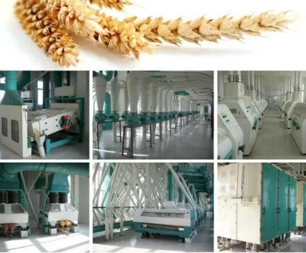 150t/D Complete Wheat Millling Processing Line