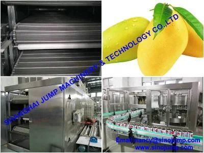 220 Litter Bulk Package Mango Pulp Processing Line