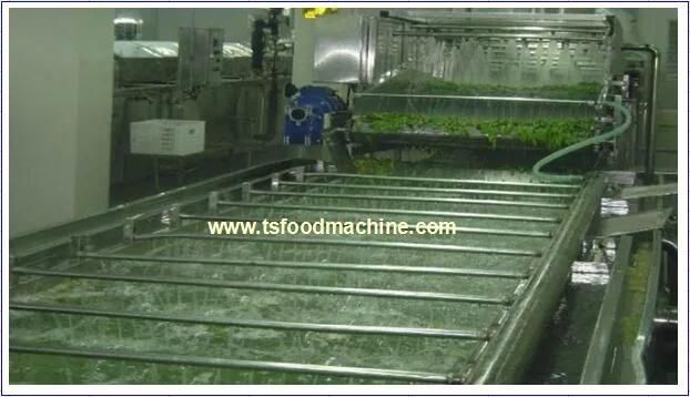 Industrial Fruit and Vegetable Washing Machine and Vegetable Washer