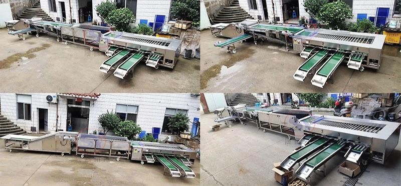 Tomato Potato Carrot Color Pepper Automatic Loading Selecting Sorting Machine