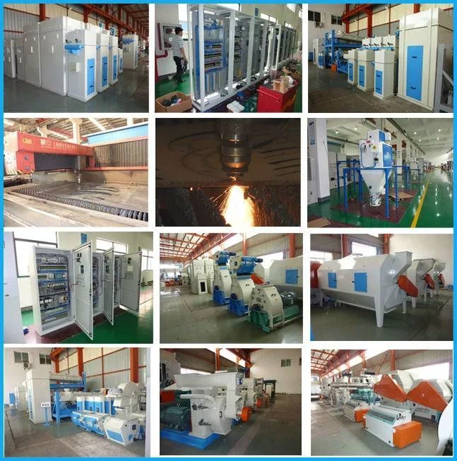 Popular Applied Extruder Machine for Floating Fish Feed