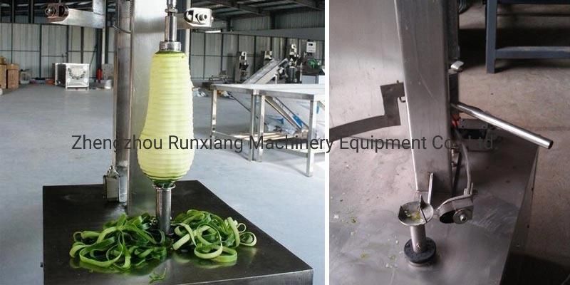 Industrial Multifunctional Vegetable Wax Papaya Melon Pumpkin Peeling Machine