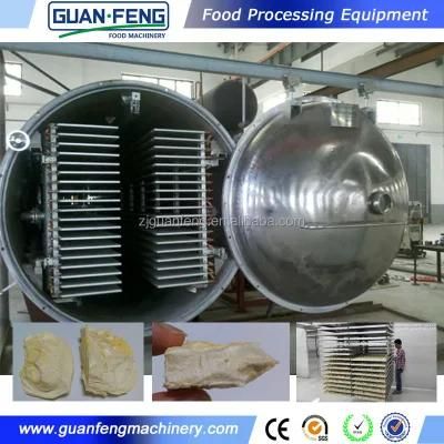 Commercial Freeze Dryer Machine Mango Lyophilizer for Sales