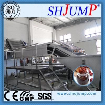 Tomato Juice Processing Line/Tomato Pulp Production Line/Peach Pulp Processing Unit/ Pear ...