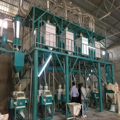 Produce Bread Flour of 36t/24h Wheat Flour Mill