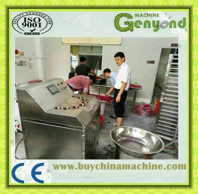 Fruit Peeling Machine Slicing Machine Remove Core Machine