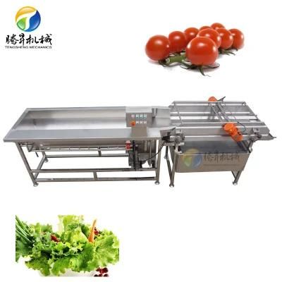 Leafy Vegetable Root Vegetable Washing Machine Carrot Washing Machine (TS-X680)