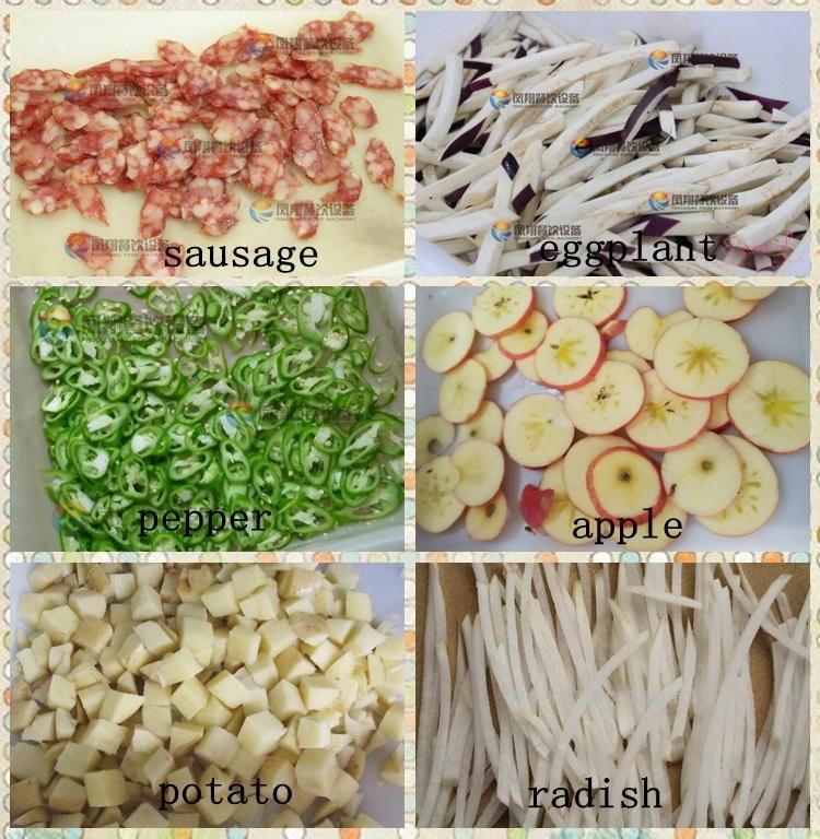 Commercial Automatic Stainless Steel Fruit and Vegetable Slicer and Dicer