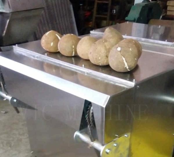 Double station stainless steel coconut peeling machine