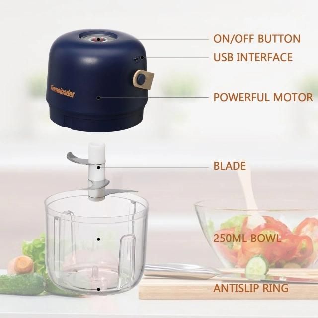 Us Wearhouse Mini Food Chopper Electric Food Processor Cordless Onion Garlic Chopper Portable Vegetable Mincer Meat Blender with 250ml Capacity