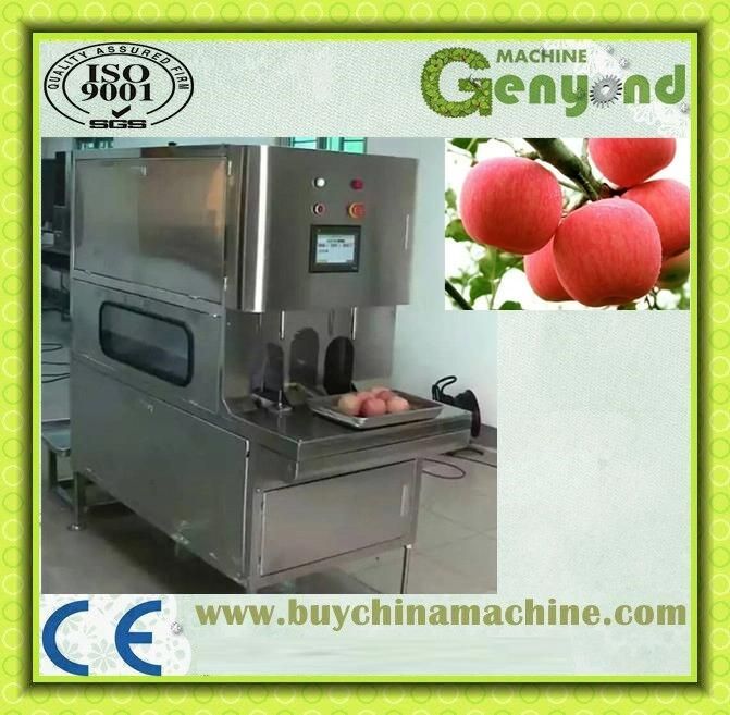 Tangerine Peeling Machine Peeler Skiving Machine for Orange