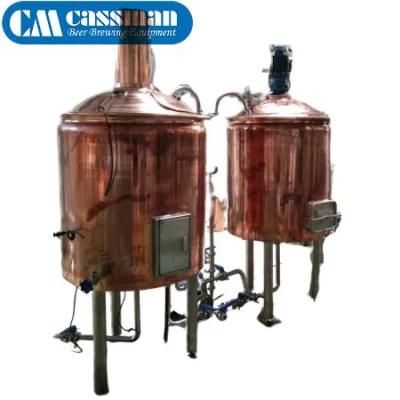 Cassman 300L Stainless Steel Brewing Beer Equipment for Pub/Hotel/Restaurant