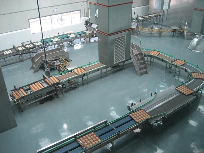 Automatic Conveying System Bakery Bread Trays Conveyor Line