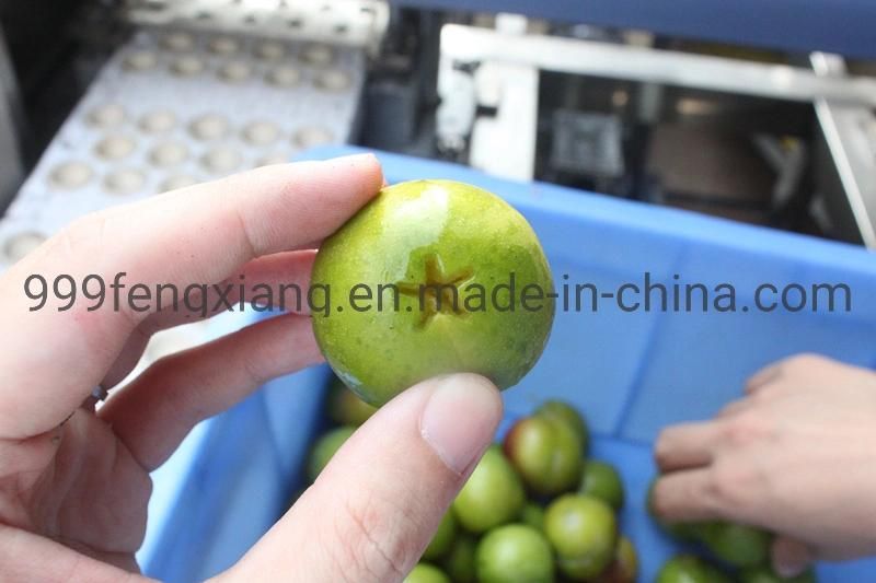 Fruit Olive Stoner Machine, High Speed Plum Pitting Machine