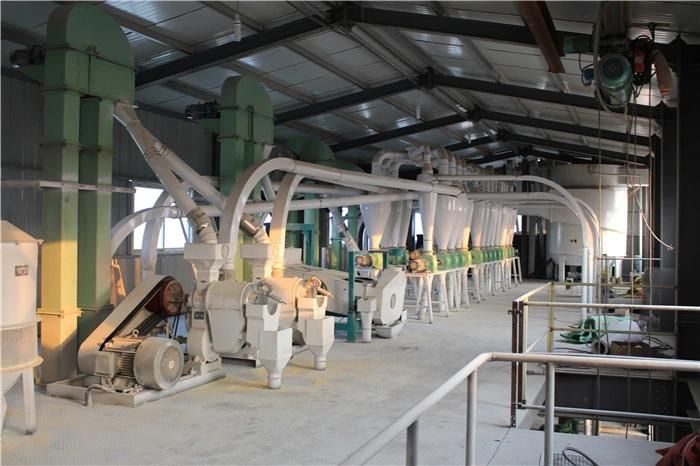 Complete Set of Maize /Corn/Cassava/Sima Flour Milling Machine (10-250TPD)