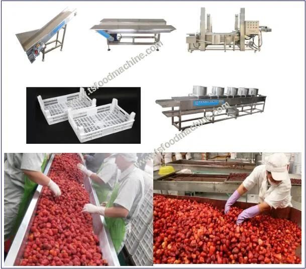 Strawberry Cleaning and Drying Processing Equipment, Strawberry Equipment