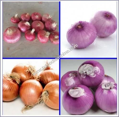 Automatic Onion Peeling Onion Skin Peeling and Onion Peeler Machine