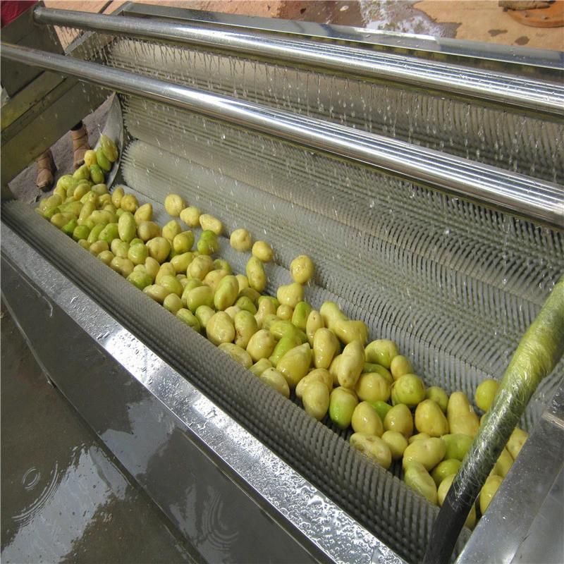 Food Grade Stainless Steel Ginger Washing and Peeling Machine