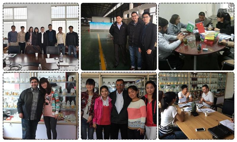 China Machines Supplier Chocolate Filling-Core Corn Puffed Snack Food /Cheese Ball Food Processing Line From Jinan Dh