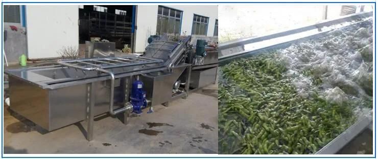 Frozen Vegetable Processing Line Including Washing Blanching and Drying Machine