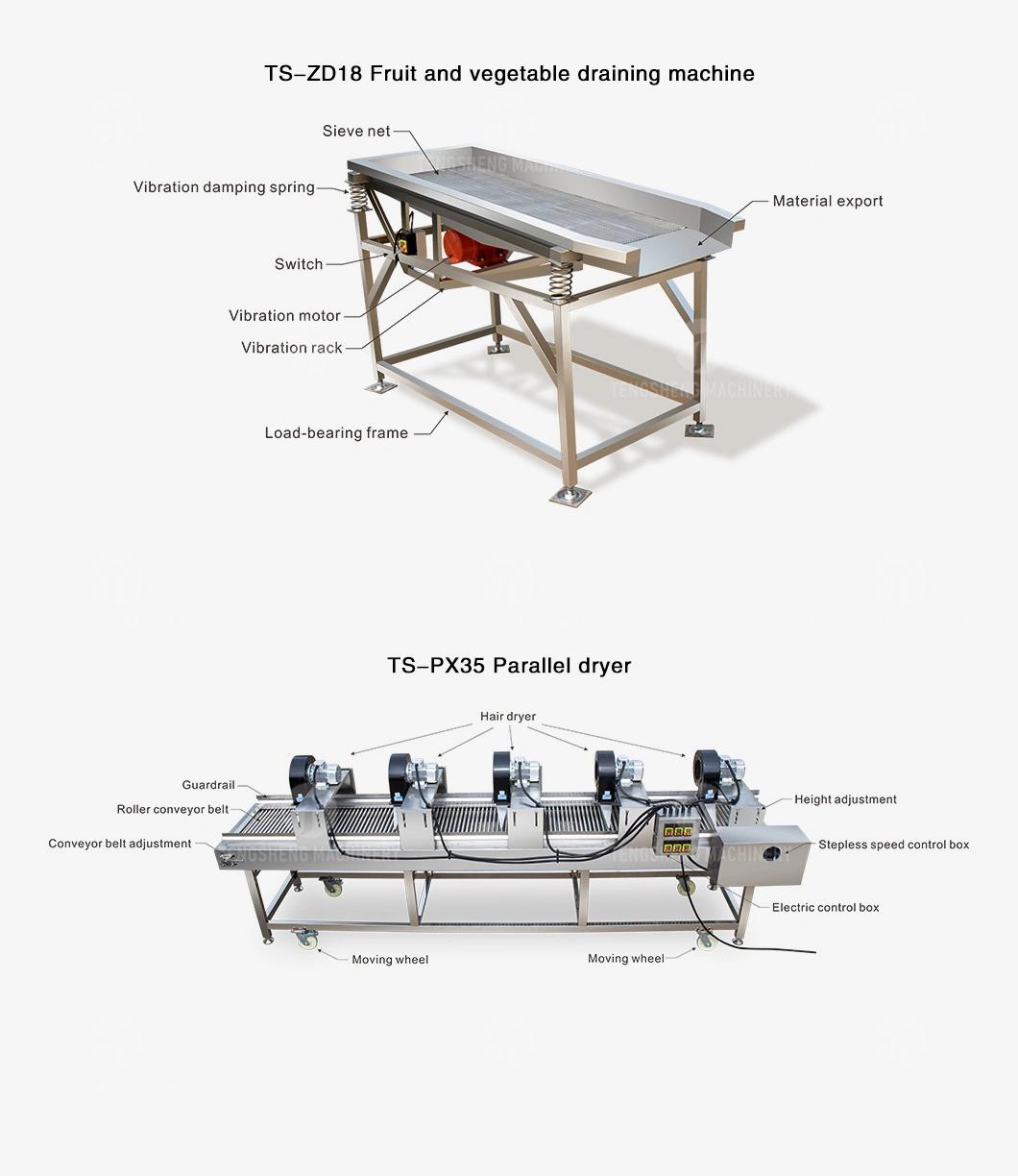 Multifunctional Food Processing Machine Fruit Vegetable Washing Washer Carob Tomato Cleaner Bubble Cleaning Vibration Drying Production Line Food Processor