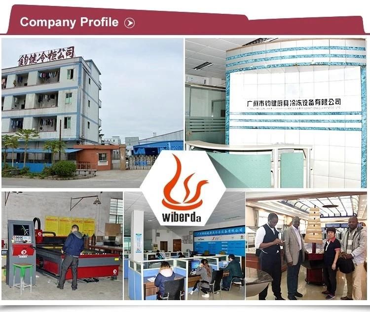 Factory Price Commercial Gas Conveyor Pizza Gas Oven From Ovens