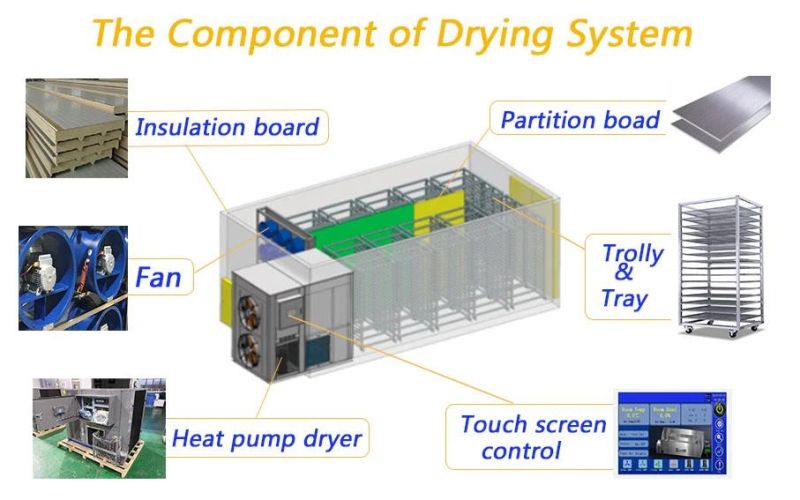 Apple Dryer, Large Industrial Apple Dehydrator, Apricot, Peach, Pineapple Universal Drying Machine. General Drying Equipment for Fruits, Vegetables and Fish