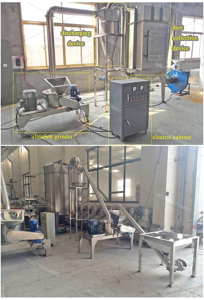 Easy Control Micro Herbal Salt Flour Pulverizer Machine for Food Industry