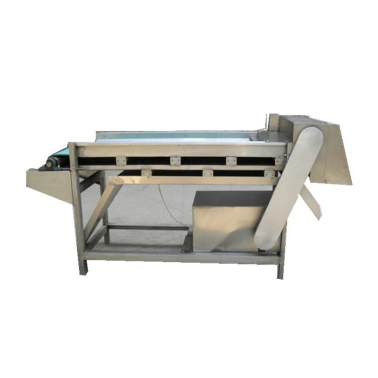 Oyster Shiitake Mushroom Cutting Slicer Slicing Machine