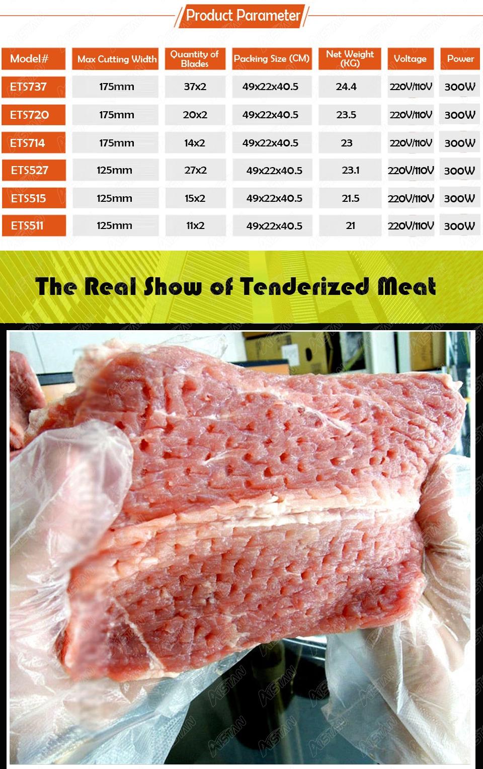 Ets527 Electric Professional Meat Tenderizer Commercial Stainless Steel Meat Tenderizer Machine 37× 2 PCS Blades