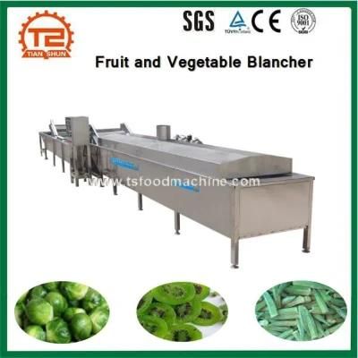 Fruit and Vegetable Blancher and Meat, Seafood Blanching Machine