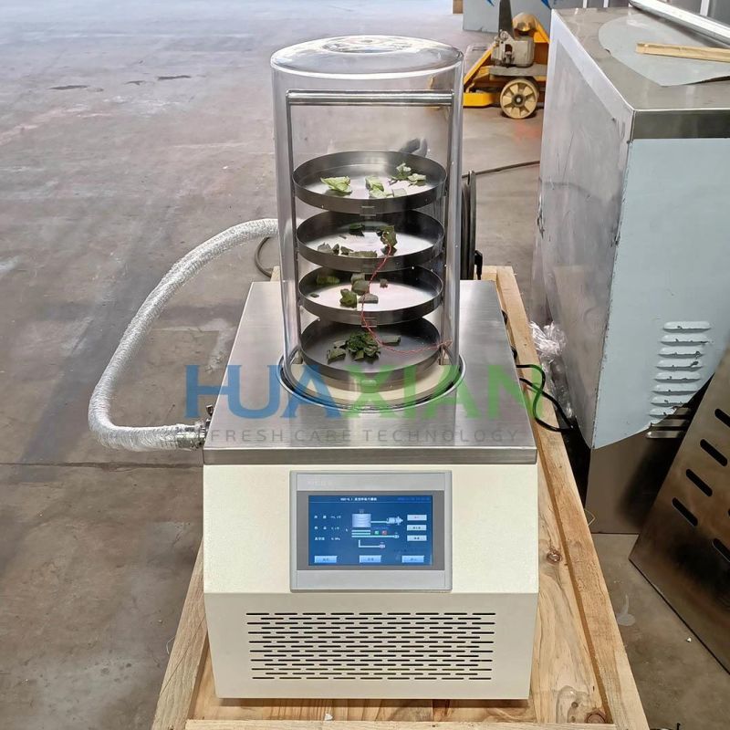 Mini Home Fruit Processing Vacuum Freeze Dryer, Vegetable Drying Machinery