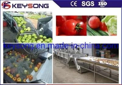 Industrial Fruit Vegetable Plant Equipment Cleaning Drying Machinery