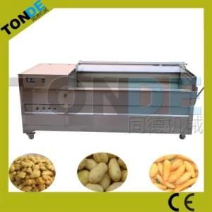 High Efficiency Vegetable Cleaning Machine