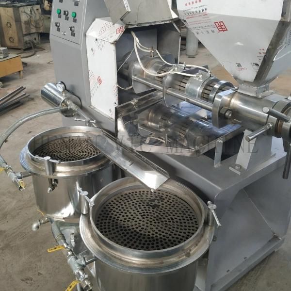 Professional Peanut,Soybean,Avocado Oil Press Machine