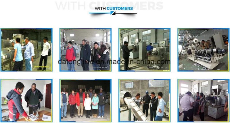 Large Capacity Dog Cat Fish Pet Food Extruder Machine Production Line