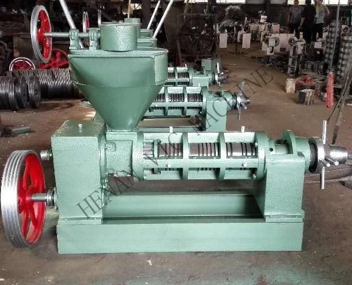 Automatic rice bran screw oil press machine